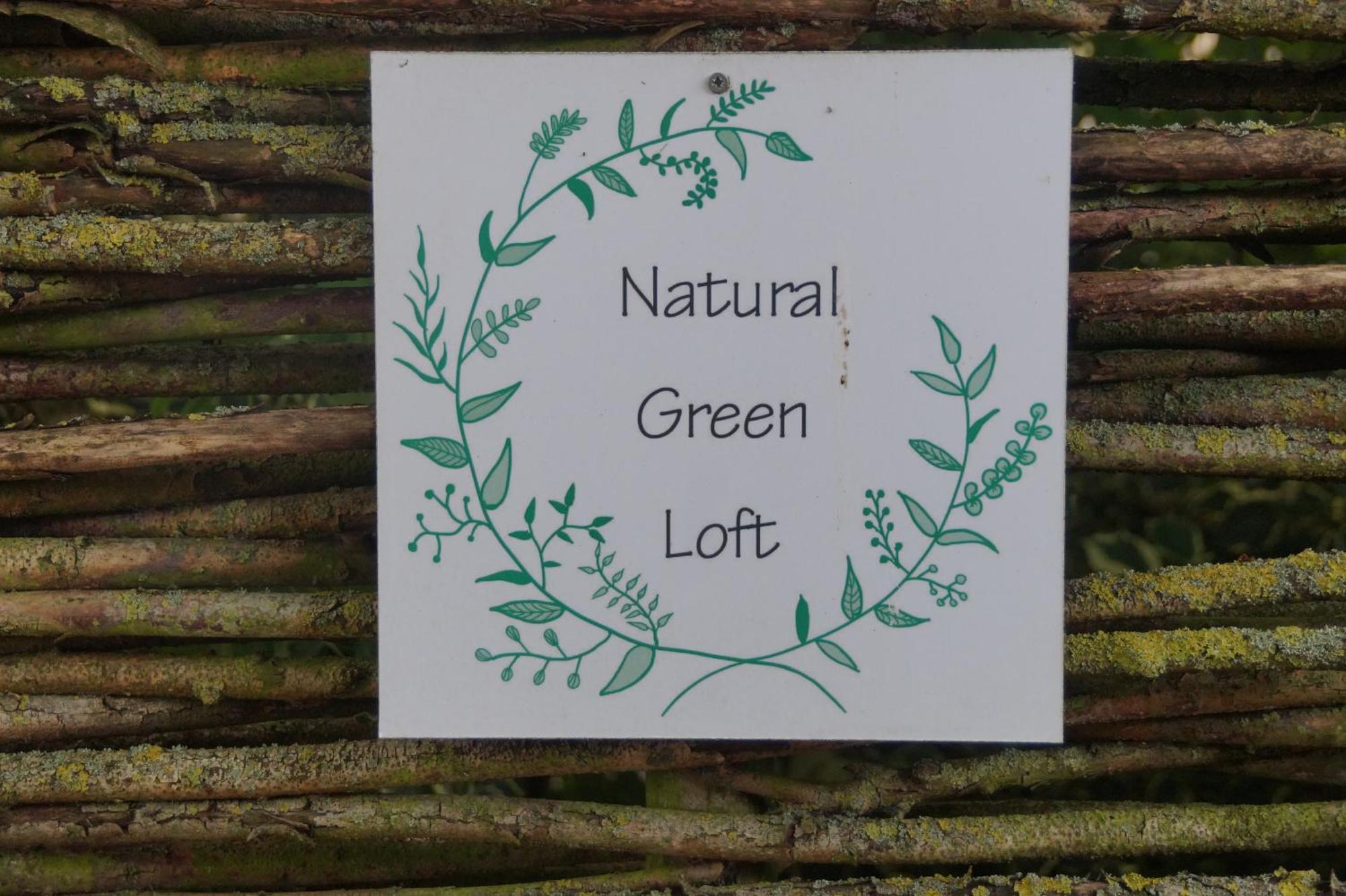 Natural Green Loft Bergen Ngoại thất bức ảnh